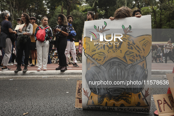 Protesters hold a demonstration against the fires and the climate situation in Brazil and for agrarian reform on Avenida Paulista, in the ce...