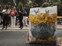 Protesters hold a demonstration against the fires and the climate situation in Brazil and for agrarian reform on Avenida Paulista, in the ce...