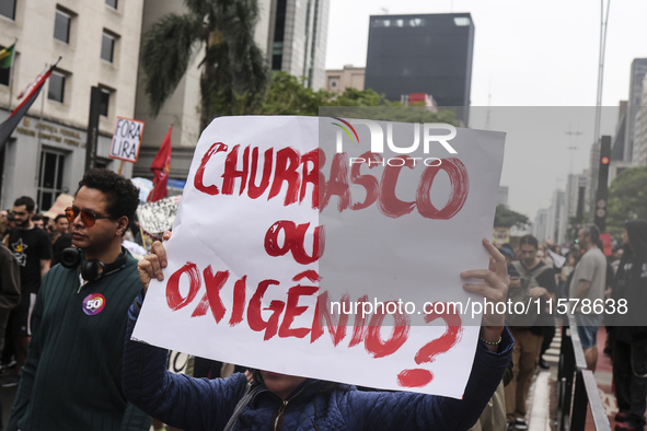 Protesters hold a demonstration against the fires and the climate situation in Brazil and for agrarian reform on Avenida Paulista, in the ce...