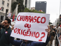 Protesters hold a demonstration against the fires and the climate situation in Brazil and for agrarian reform on Avenida Paulista, in the ce...