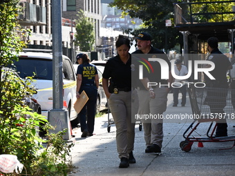 NYPD crime scene investigators search for evidence where a 32-year-old man is shot numerous times and killed in Manhattan, New York, United...