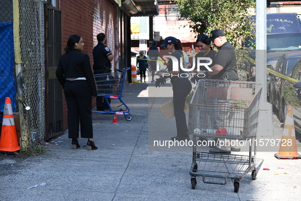 NYPD crime scene investigators search for evidence where a 32-year-old man is shot numerous times and killed in Manhattan, New York, United...