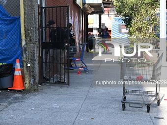 NYPD crime scene investigators search for evidence where a 32-year-old man is shot numerous times and killed in Manhattan, New York, United...