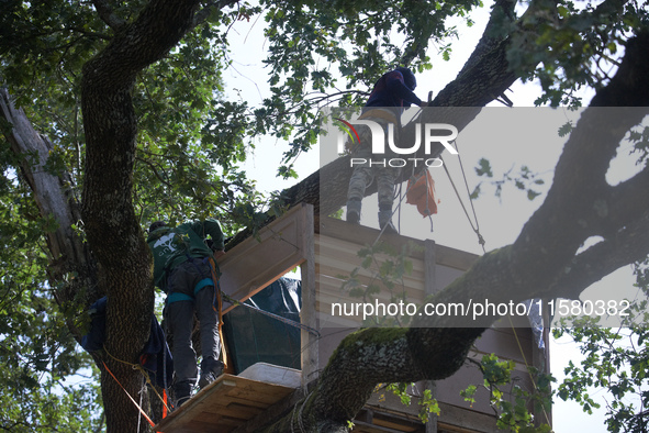 Squirrels stand in a tree to be torn off. After months of negotiations and pressures from NGE/Atosca, two incendiary attacks, Alexandra, the...