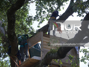 Squirrels stand in a tree to be torn off. After months of negotiations and pressures from NGE/Atosca, two incendiary attacks, Alexandra, the...