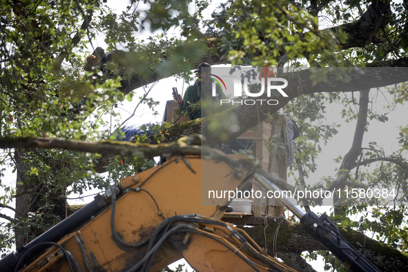 An 'Ecureil' living in a tree films the driver of the excavator tearing a tree off. After months of negotiations and pressures from NGE/Atos...