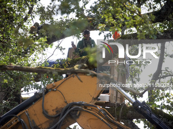 An 'Ecureil' living in a tree films the driver of the excavator tearing a tree off. After months of negotiations and pressures from NGE/Atos...