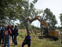 The driver of the excavator pushes a tree and tears it off. After months of negotiations and pressures from NGE/Atosca, and two attacks by i...