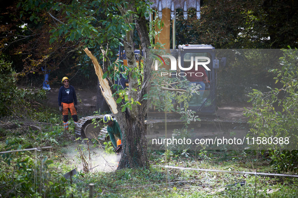 A woodcutter works after the driver of the excavator amputates the tree. After months of negotiations and pressures from NGE/Atosca, two att...