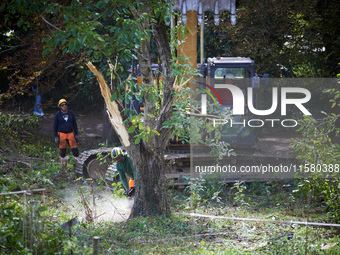 A woodcutter works after the driver of the excavator amputates the tree. After months of negotiations and pressures from NGE/Atosca, two att...