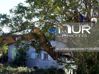 The excavator wants to tear a tree down even if squirrels stand in the tree right above. After months of negotiations and pressures from NGE...