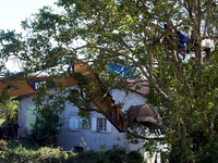 The excavator wants to tear a tree down even if squirrels stand in the tree right above. After months of negotiations and pressures from NGE...