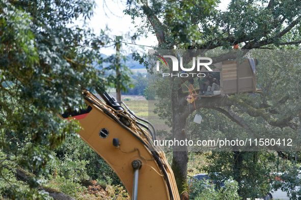 The excavator tears a tree down even if squirrels stand in the tree. He films. After months of negotiations and pressures from NGE/Atosca, a...