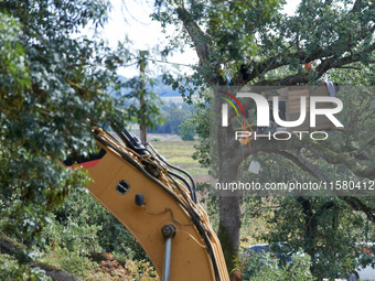 The excavator tears a tree down even if squirrels stand in the tree. He films. After months of negotiations and pressures from NGE/Atosca, a...