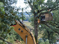 The excavator tears a tree down even if squirrels stand in the tree. He films. After months of negotiations and pressures from NGE/Atosca, a...