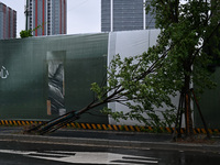 A tree is blown down by a typhoon in Nanjing, China, on September 17, 2024. (