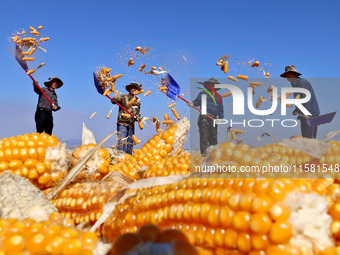 Workers turn over and dry corn at a drying base for seed production in Zhangye, China, on September 17, 2024. (