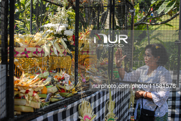 Several Jabodetabek-based Balinese Hindus attended the 19th Pujawali tradition at Parahyangan Agung Jagatkarta Temple in Bogor, West Java, I...