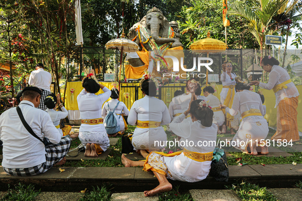 Several Jabodetabek-based Balinese Hindus attended the 19th Pujawali tradition at Parahyangan Agung Jagatkarta Temple in Bogor, West Java, I...