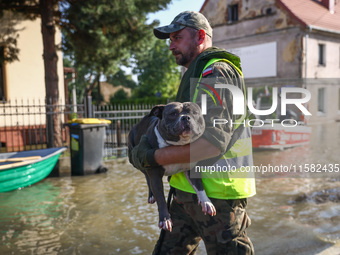 A dog is being evacuated by an emergency worker after Nysa Klodzka river flooded town of Lewin Brzeski in southwestern Poland, on September...