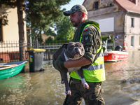 A dog is being evacuated by an emergency worker after Nysa Klodzka river flooded town of Lewin Brzeski in southwestern Poland, on September...