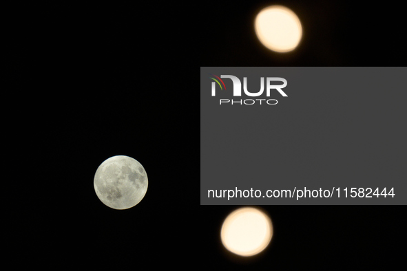 Small lights in a tree by a restaurant are seen with the Harvest Moon in the night sky over Frankfurt an der Oder, Germany on 17 September,...