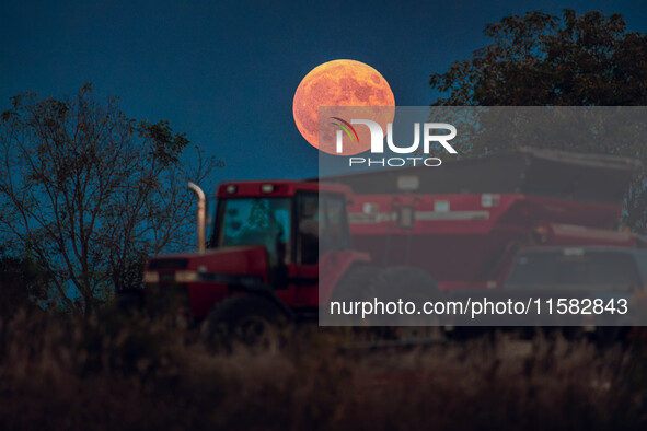 A Super Moon rises over a soybean harvest at Malkow Farms in Monroe, Wisconsin, on September 17, 2024. The full moon, known as the Harvest M...