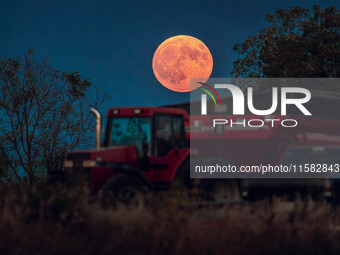 A Super Moon rises over a soybean harvest at Malkow Farms in Monroe, Wisconsin, on September 17, 2024. The full moon, known as the Harvest M...