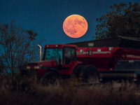 A Super Moon rises over a soybean harvest at Malkow Farms in Monroe, Wisconsin, on September 17, 2024. The full moon, known as the Harvest M...