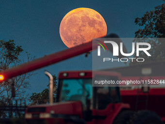 A Super Moon rises over a soybean harvest at Malkow Farms in Monroe, Wisconsin, on September 17, 2024. The full moon, known as the Harvest M...