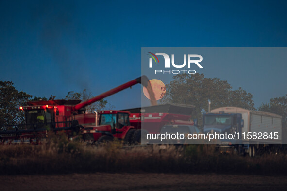 A Super Moon rises over a soybean harvest at Malkow Farms in Monroe, Wisconsin, on September 17, 2024. The full moon, known as the Harvest M...