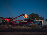 A Super Moon rises over a soybean harvest at Malkow Farms in Monroe, Wisconsin, on September 17, 2024. The full moon, known as the Harvest M...