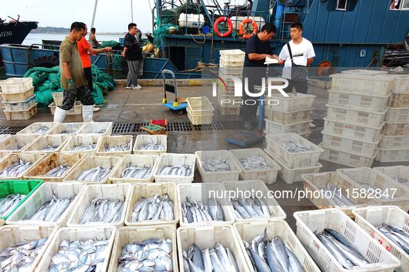 Citizens buy various kinds of seafood unloaded at Jimiya fishing Port in the West Coast New Area in Qingdao, China, on September 18, 2024. 