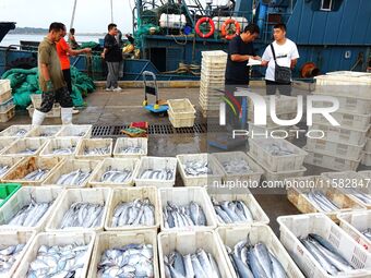 Citizens buy various kinds of seafood unloaded at Jimiya fishing Port in the West Coast New Area in Qingdao, China, on September 18, 2024. (