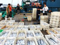 Citizens buy various kinds of seafood unloaded at Jimiya fishing Port in the West Coast New Area in Qingdao, China, on September 18, 2024. (