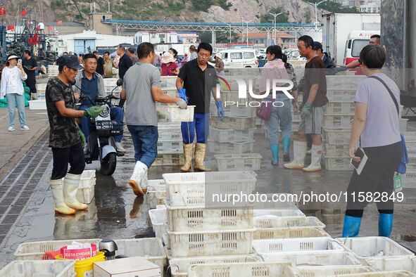 Citizens buy various kinds of seafood unloaded at Jimiya fishing Port in the West Coast New Area in Qingdao, China, on September 18, 2024. 