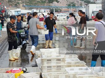 Citizens buy various kinds of seafood unloaded at Jimiya fishing Port in the West Coast New Area in Qingdao, China, on September 18, 2024. (