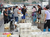 Citizens buy various kinds of seafood unloaded at Jimiya fishing Port in the West Coast New Area in Qingdao, China, on September 18, 2024. (