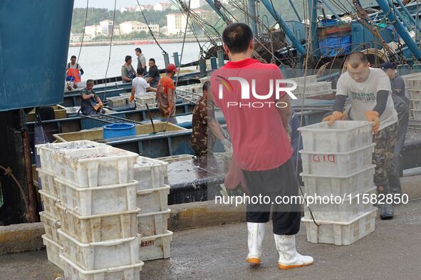 Citizens buy various kinds of seafood unloaded at Jimiya fishing Port in the West Coast New Area in Qingdao, China, on September 18, 2024. 