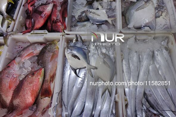 Citizens buy various kinds of seafood unloaded at Jimiya fishing Port in the West Coast New Area in Qingdao, China, on September 18, 2024. 