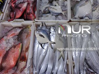 Citizens buy various kinds of seafood unloaded at Jimiya fishing Port in the West Coast New Area in Qingdao, China, on September 18, 2024. (