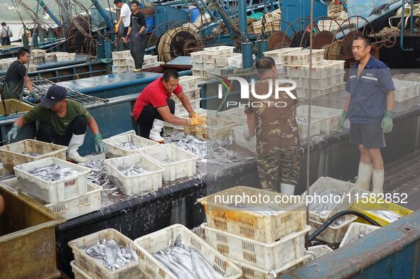 Citizens buy various kinds of seafood unloaded at Jimiya fishing Port in the West Coast New Area in Qingdao, China, on September 18, 2024. 