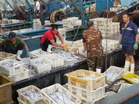 Citizens buy various kinds of seafood unloaded at Jimiya fishing Port in the West Coast New Area in Qingdao, China, on September 18, 2024. (