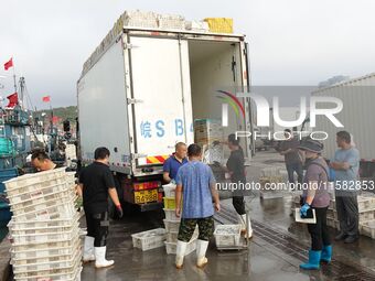 Citizens buy various kinds of seafood unloaded at Jimiya fishing Port in the West Coast New Area in Qingdao, China, on September 18, 2024. (