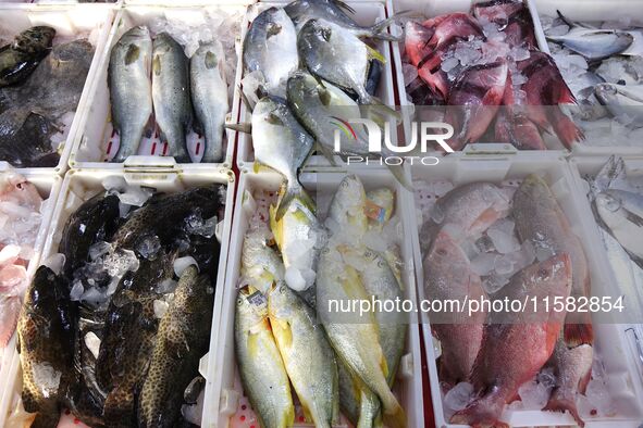 Citizens buy various kinds of seafood unloaded at Jimiya fishing Port in the West Coast New Area in Qingdao, China, on September 18, 2024. 