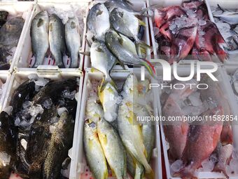 Citizens buy various kinds of seafood unloaded at Jimiya fishing Port in the West Coast New Area in Qingdao, China, on September 18, 2024. (