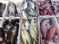 Citizens buy various kinds of seafood unloaded at Jimiya fishing Port in the West Coast New Area in Qingdao, China, on September 18, 2024. (