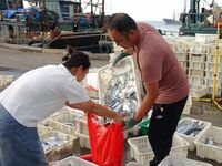 Citizens buy various kinds of seafood unloaded at Jimiya fishing Port in the West Coast New Area in Qingdao, China, on September 18, 2024. (