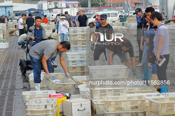 Citizens buy various kinds of seafood unloaded at Jimiya fishing Port in the West Coast New Area in Qingdao, China, on September 18, 2024. 