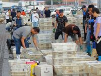 Citizens buy various kinds of seafood unloaded at Jimiya fishing Port in the West Coast New Area in Qingdao, China, on September 18, 2024. (